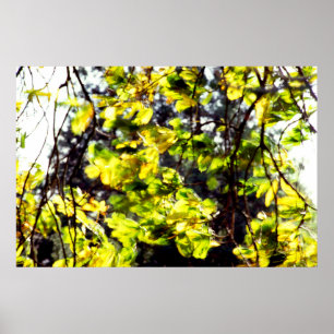 Leaves Blowing im Wind Poster