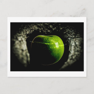 Leben auf dem Apfel Postkarte