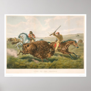 Leben auf dem Grasland: Die Büffel-Jagd (0878A) Poster
