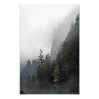 Leben auf der Kante. Fotodruck