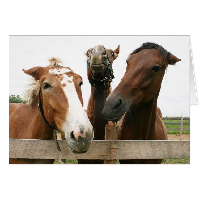 Leben des Party (Vorderseite (Horizontal))