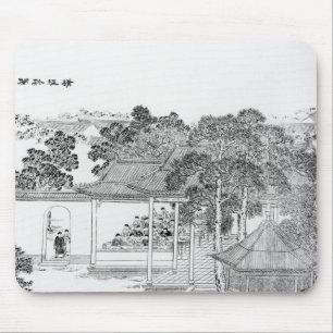 Leben einer Mandarine Mousepad