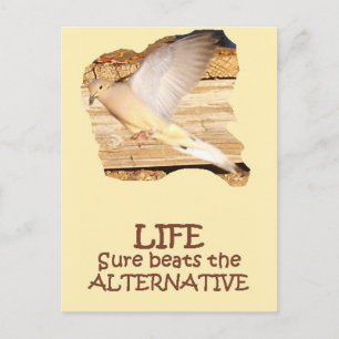 LEBEN - Flying Dove Postkarte