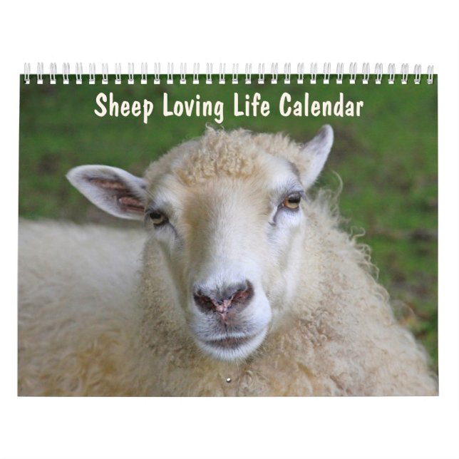 Leben für Schafe Kalender (Titelbild)