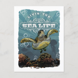 Leben im Meer Leben Schildkröte Postkarte