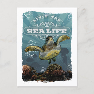 Leben im Meer Leben Schildkröte Postkarte