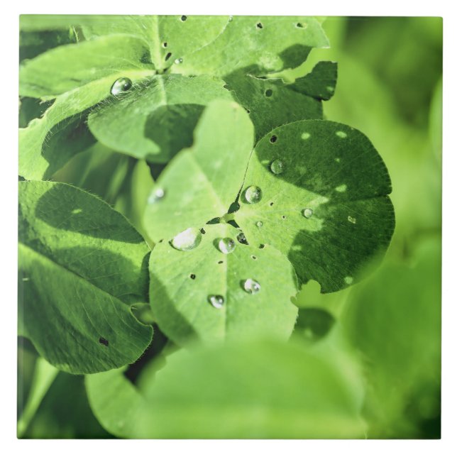 Leben in Cloud Fliese (Vorderseite)