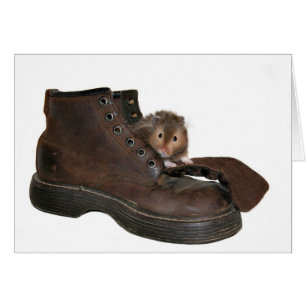 Leben in einem Schuh