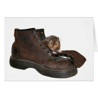 Leben in einem Schuh