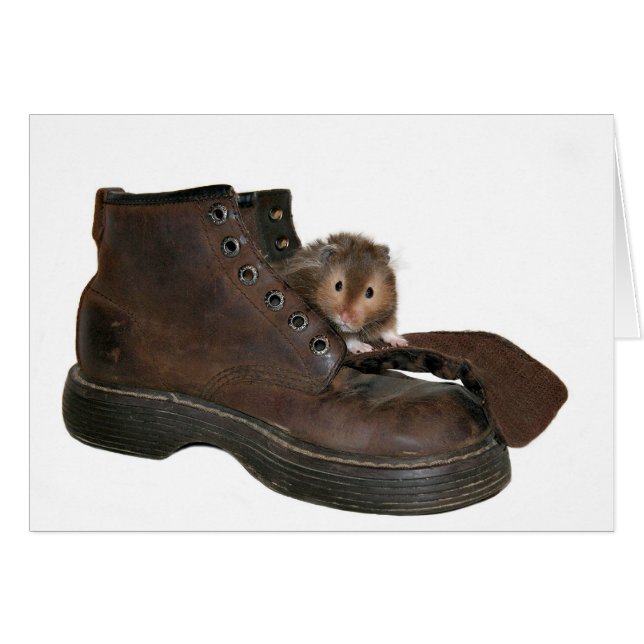 Leben in einem Schuh (Vorderseite (Horizontal))