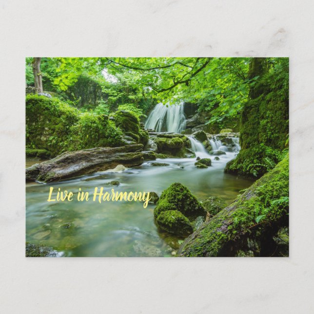 Leben in Harmonie Postkarte (Vorderseite)