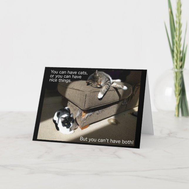 Leben mit Cats Card Karte (Vorderseite)