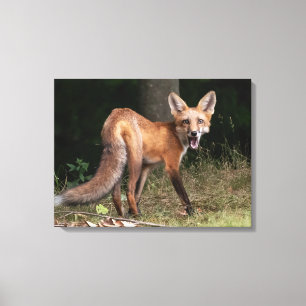 Leben mit Geist Leinwanddruck