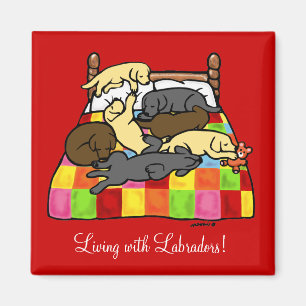 Leben mit Labradors-Cartoon Magnet