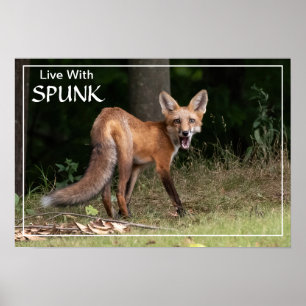 Leben mit SPUNK Poster