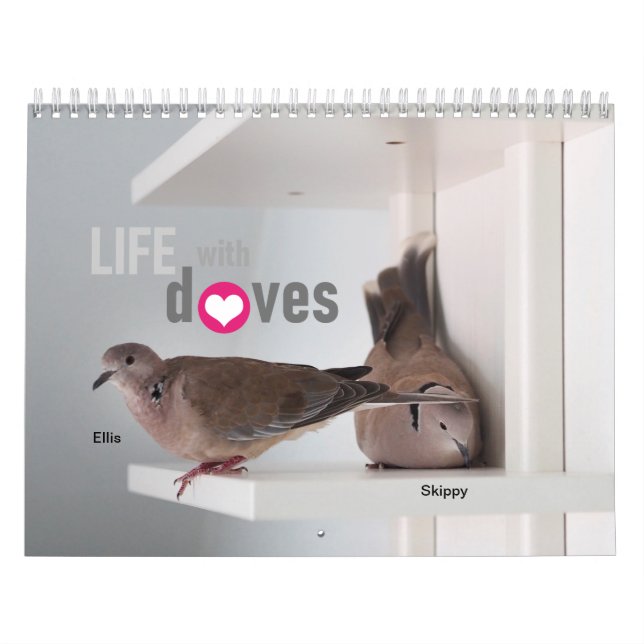 Leben mit Tauben:Kalender 2020 Kalender (Titelbild)