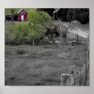 Leben nach Desaster Poster