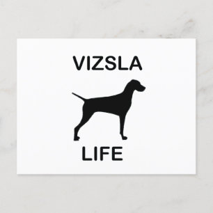 Leben Postkarte
