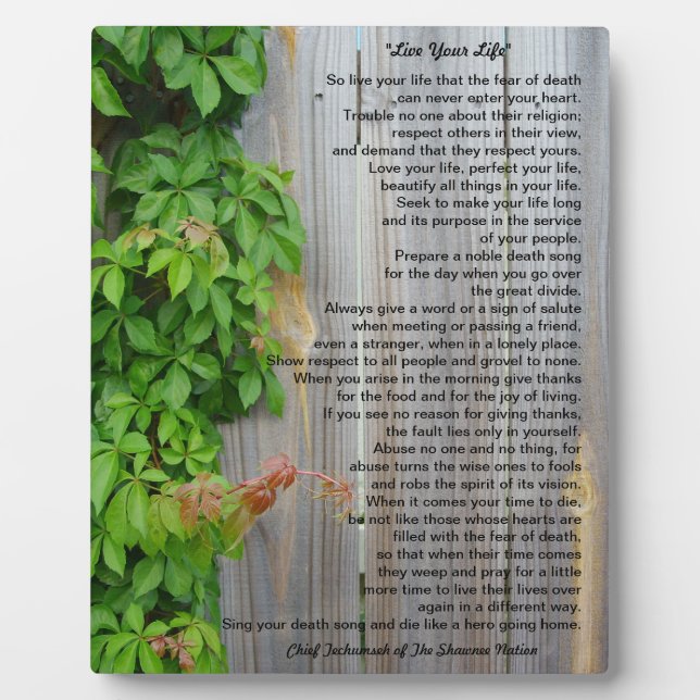 Leben Sie Ihr Leben, Chef-Tecumseh-Plakette Fotoplatte (Vorderseite)