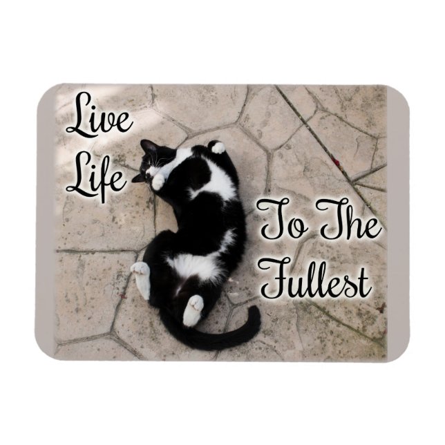 Leben Sie in der Motivierend Katzen-Kunst Magnet (Horizontal)