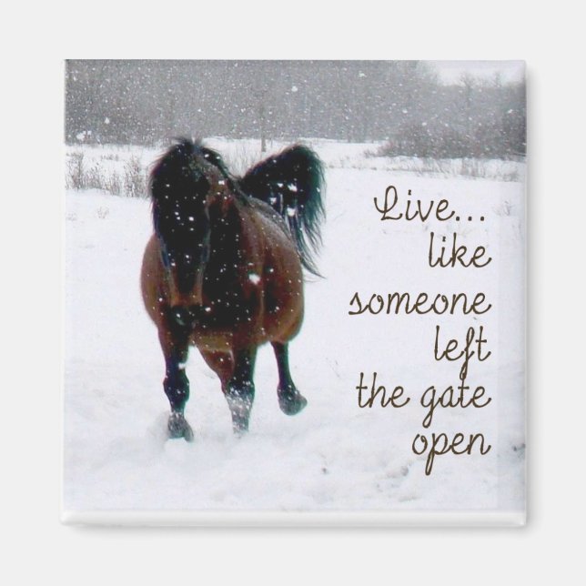 Leben Sie! Magnet (Vorne)