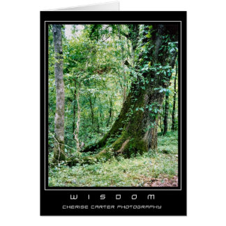 Leben Sie und lernen Sie