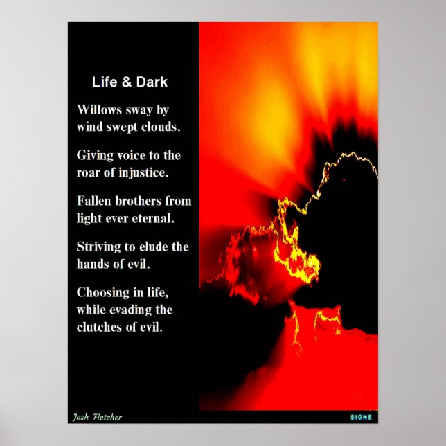 Leben u. Dunkelheit Poster (Vorne)
