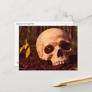 Leben und Tod Postkarte