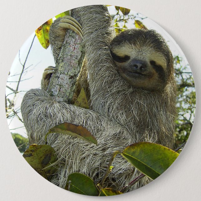 Leben wie ein Faultier Button (Vorderseite)