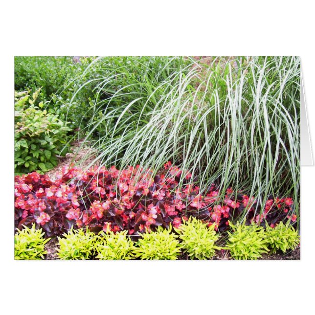 Lebende Blumen-leere Karte (Vorderseite (Horizontal))