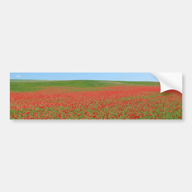 Lebende Poppies! Autoaufkleber (Vorne)