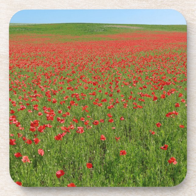 Lebende Poppies! Getränkeuntersetzer (Vorderseite)