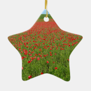 Lebende Poppies! Keramik Ornament