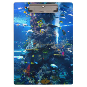 Lebendes Korallenriff mit Fisch Klemmbrett