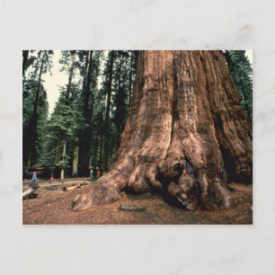 Lebendgebirge Postkarte