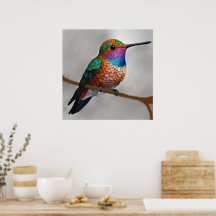Lebendige Allen’s Kolibri-Malerei