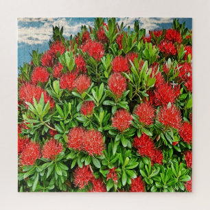 Lebendige blühende Blumen