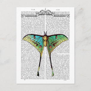 Lebendige Butterfly Postkarte