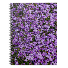 Lebendige Frühlings-Phlox-Blüten – Natürliche Blum Notizblock