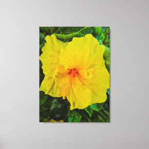 Lebendige gelbe Hibiskusblüte Leinwanddruck