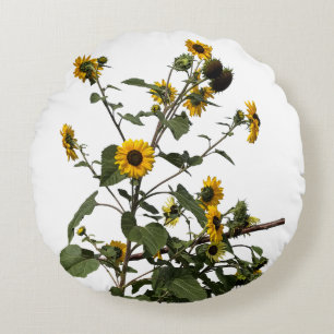 Lebendige gelbe Sonnenblume Rundes Kissen