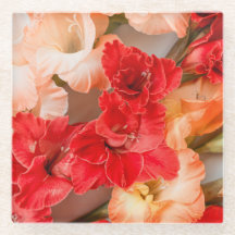 Lebendige Gladiolus-Blumen