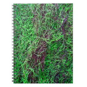 Lebendige grüne Waldmoos-Feinzweige-Textur-Foto Notizblock