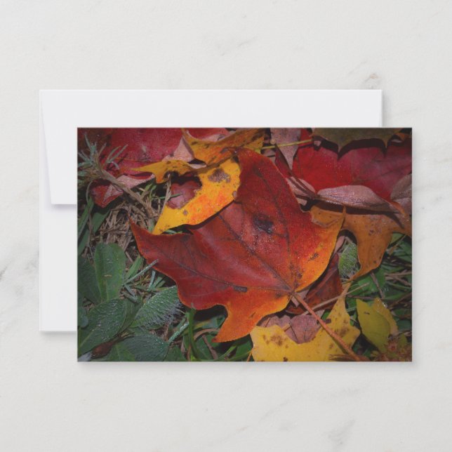 Lebendige Herbstblätter Mitteilungskarte (Vorderseite)