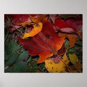 Lebendige Herbstblätter Poster