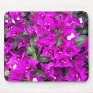 Lebendige lila Bougainvillea-Blüten Mousepad