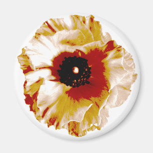 lebendige orange und weiße Ranunkel Magnet