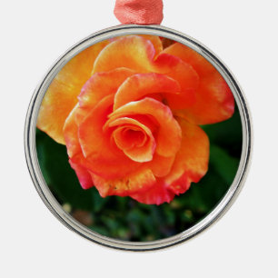 Lebendige Orangefarbene Rosenfotografie Silbernes Ornament