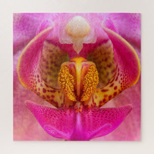 Lebendige Orchidee