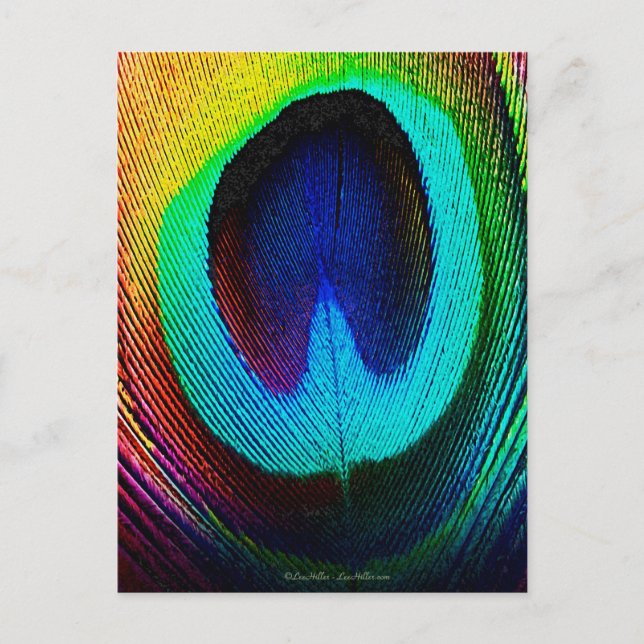 Lebendige Pfauenfeder Postkarte (Vorderseite)